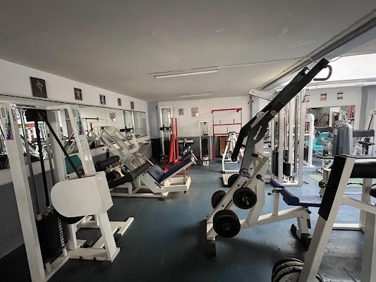 Gym Alpha - Gérard Peyre.et son fils Jérôme, salle de sport à Saint-Étienne