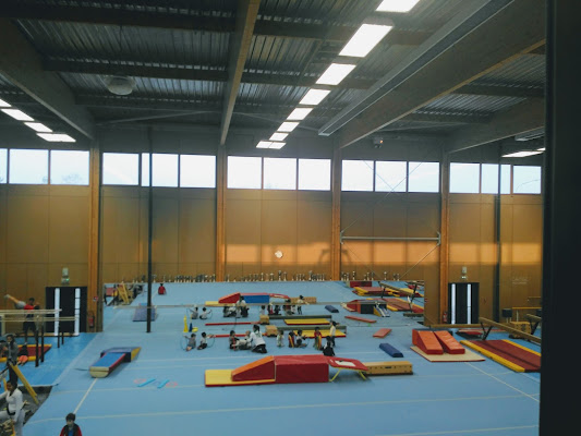 Jeune France de Villeurbanne Gymnastique, salle de sport à Villeurbanne