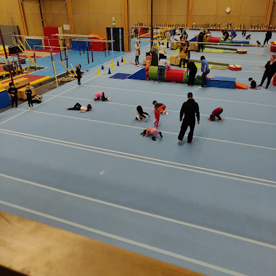 Complexe sportif des Brosses, salle de sport à Villeurbanne