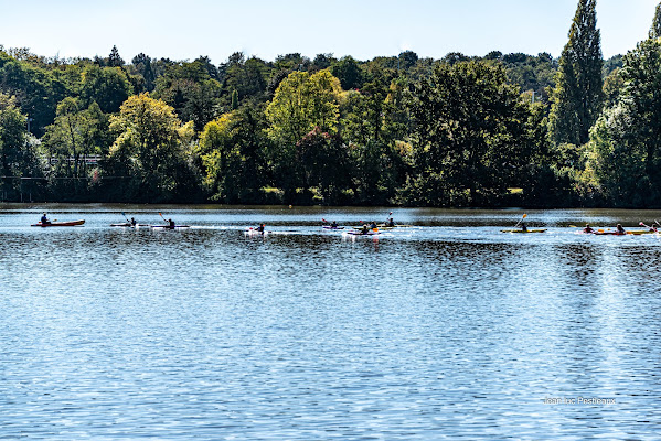 Île aux sports, salle de sport à Le Mans