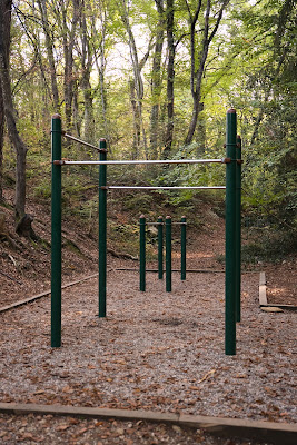 Parc Street-workout, salle de sport à Annecy