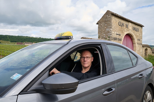 La Libellule Taxi Dijon, taxi à Dijon