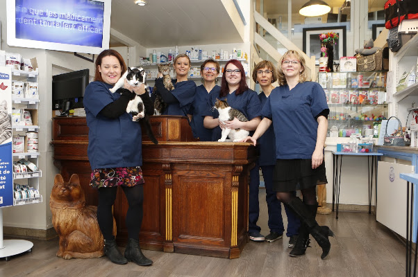 Clinique Vétérinaire Féline Le Havre des Chats, vétérinaire à Le Havre