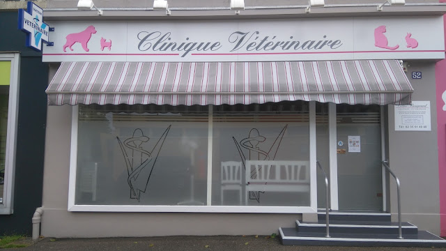 Bougeard Céline, vétérinaire à Le Havre