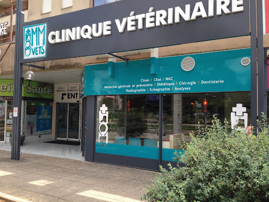 Becquevort Serge, vétérinaire à Dijon