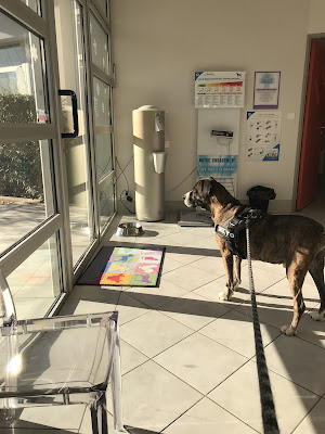 Clinique vétérinaire Univet Aix Karukéra, vétérinaire à Aix-en-Provence