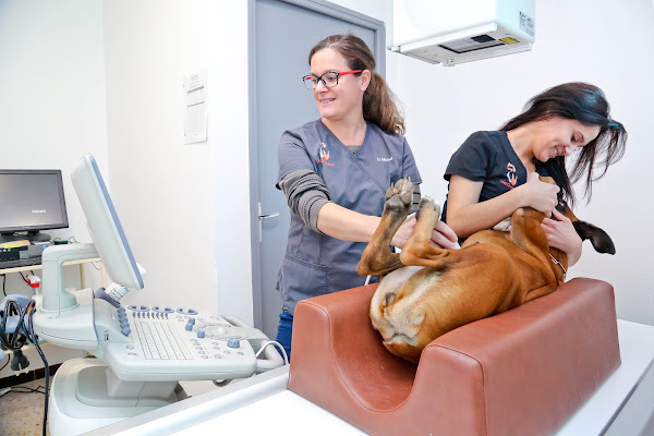 Clinique Vétérinaire Vet’Oxygène, vétérinaire à Aix-en-Provence