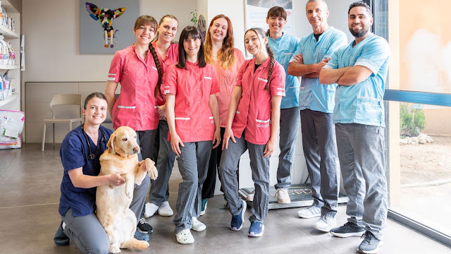 Clinique Vétérinaire Argos Aix Parade, vétérinaire à Aix-en-Provence