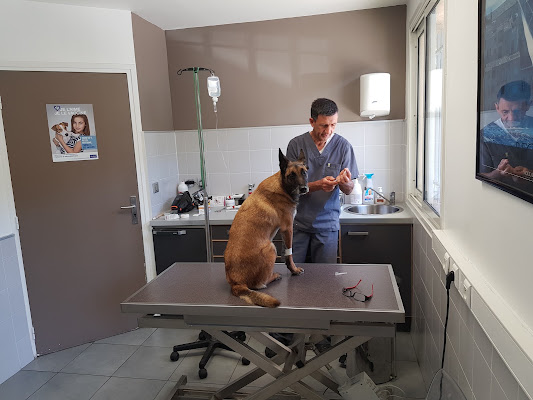 CLINIQUE VETERINAIRE D'ENTREMONT, vétérinaire à Aix-en-Provence