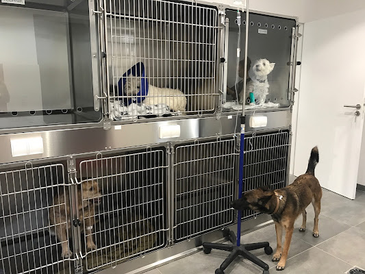 Aixiance Vet - Clinique Vétérinaire, vétérinaire à Aix-en-Provence