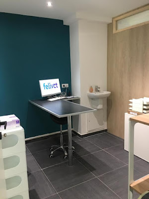 Cabinet Vétérinaire Felivet, vétérinaire à Annecy