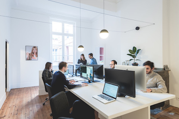 MASHVP, agence SEO à Toulouse