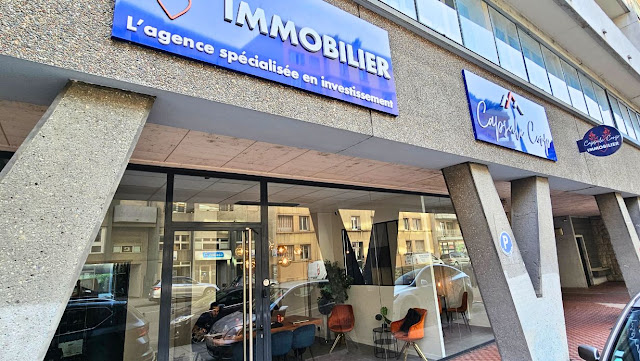 Agence immobilière Capsule Corp | Grenoble, agence immobilière à Grenoble