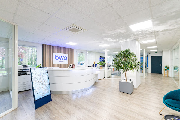 Business Web Agence, agence SEO à Dijon