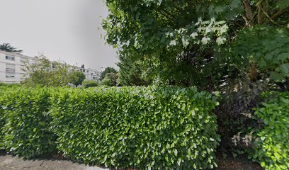 Margintoniks, agence SEO à Tours