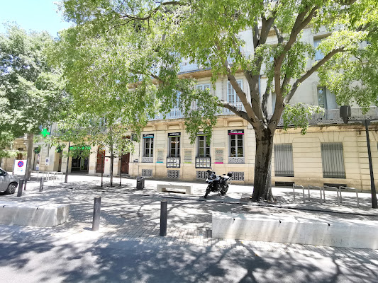 TERRES LATINES, agence de voyage à Nîmes