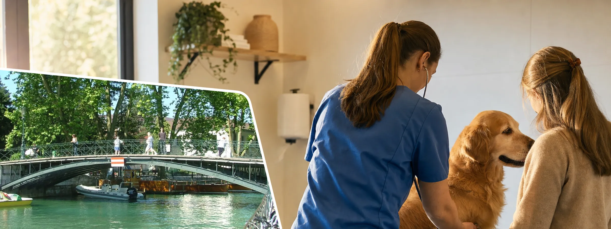 Vétérinaire à Annecy