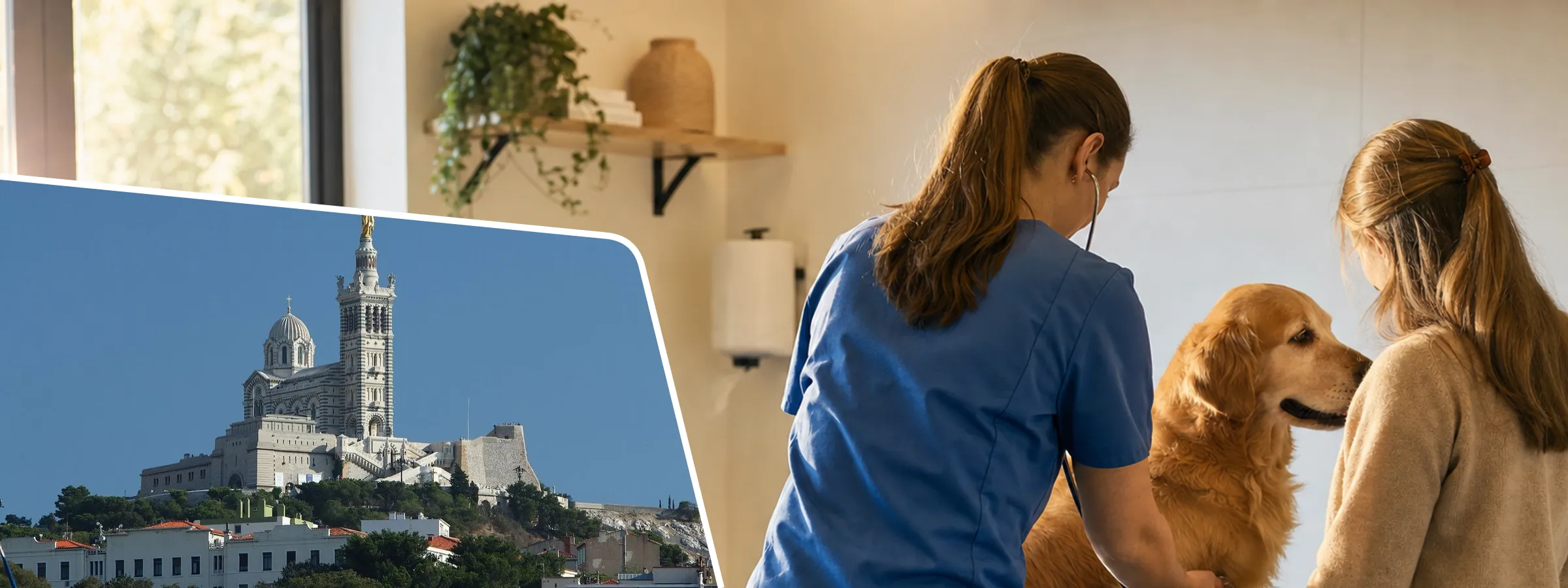 Vétérinaire à Marseille