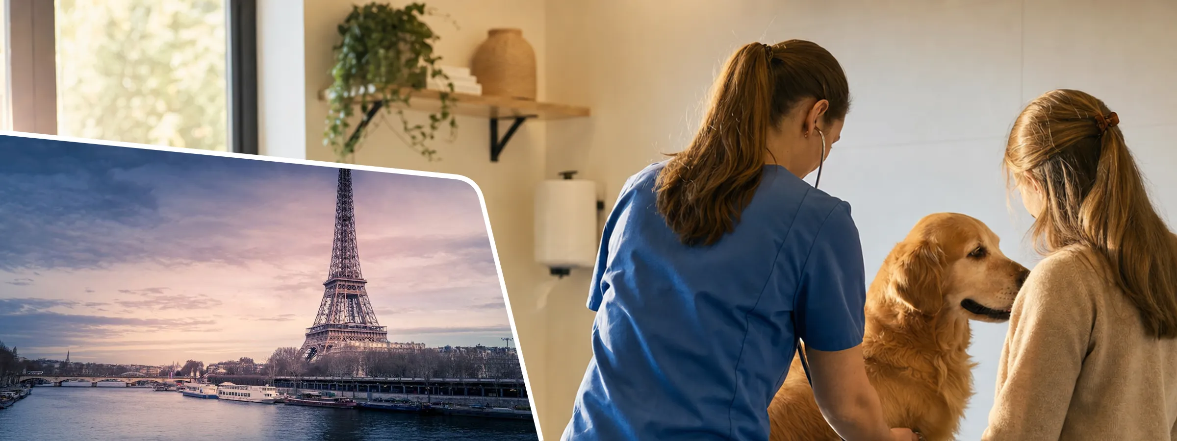 Vétérinaire à Paris