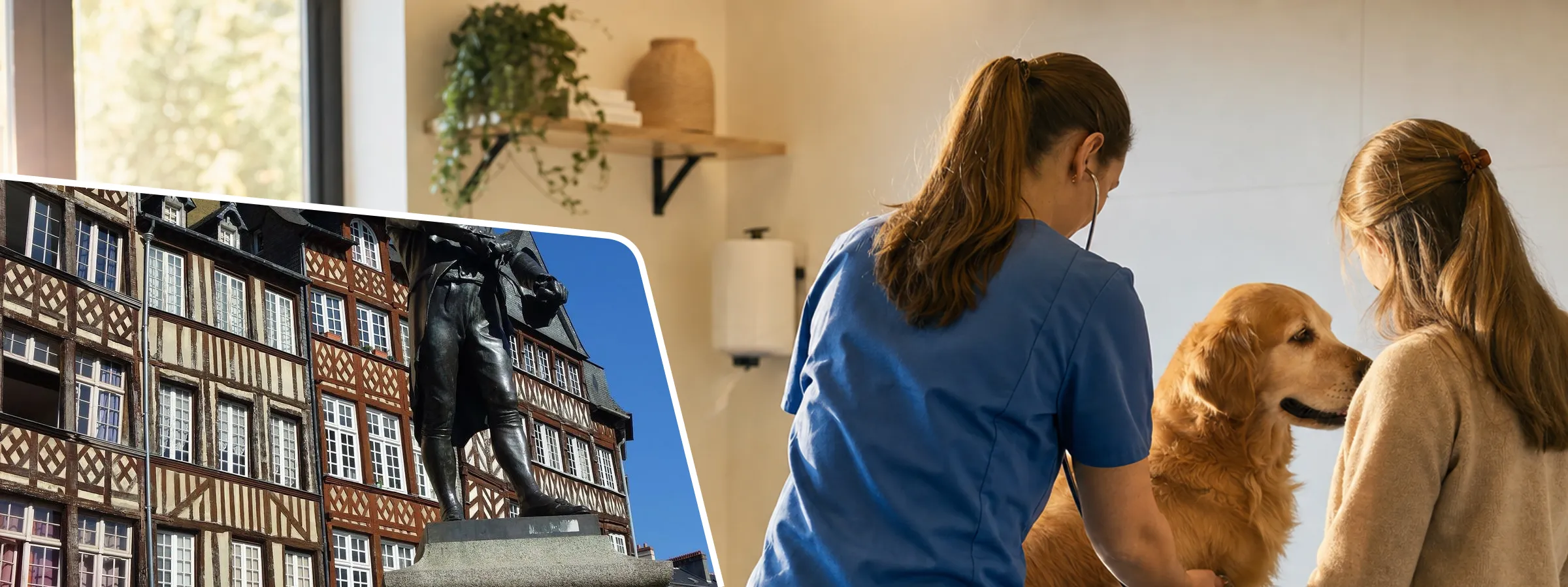 Vétérinaire à Rennes